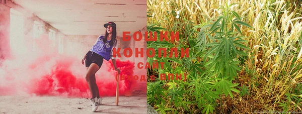 гашик Балахна