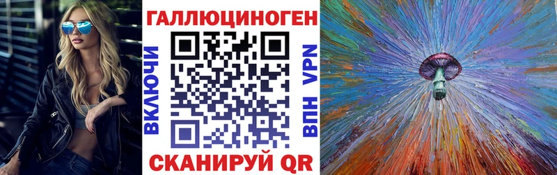 Галлюциногенные грибы Psilocybine cubensis  купить закладку  Александровское 
