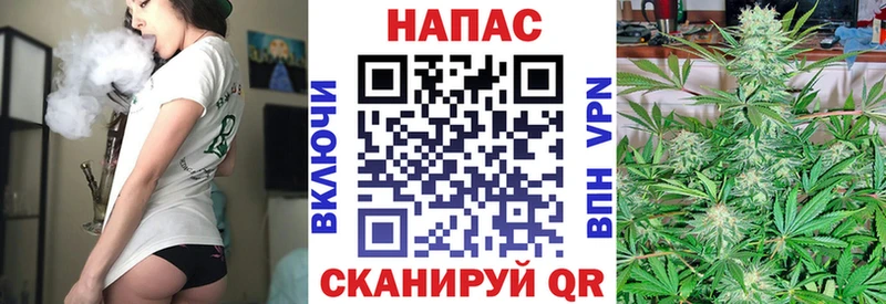 что такое Александровское Каннабис AK-47